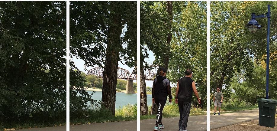 Bicycle Pedestrian Study 2017