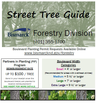 2023 Street Tree Guide