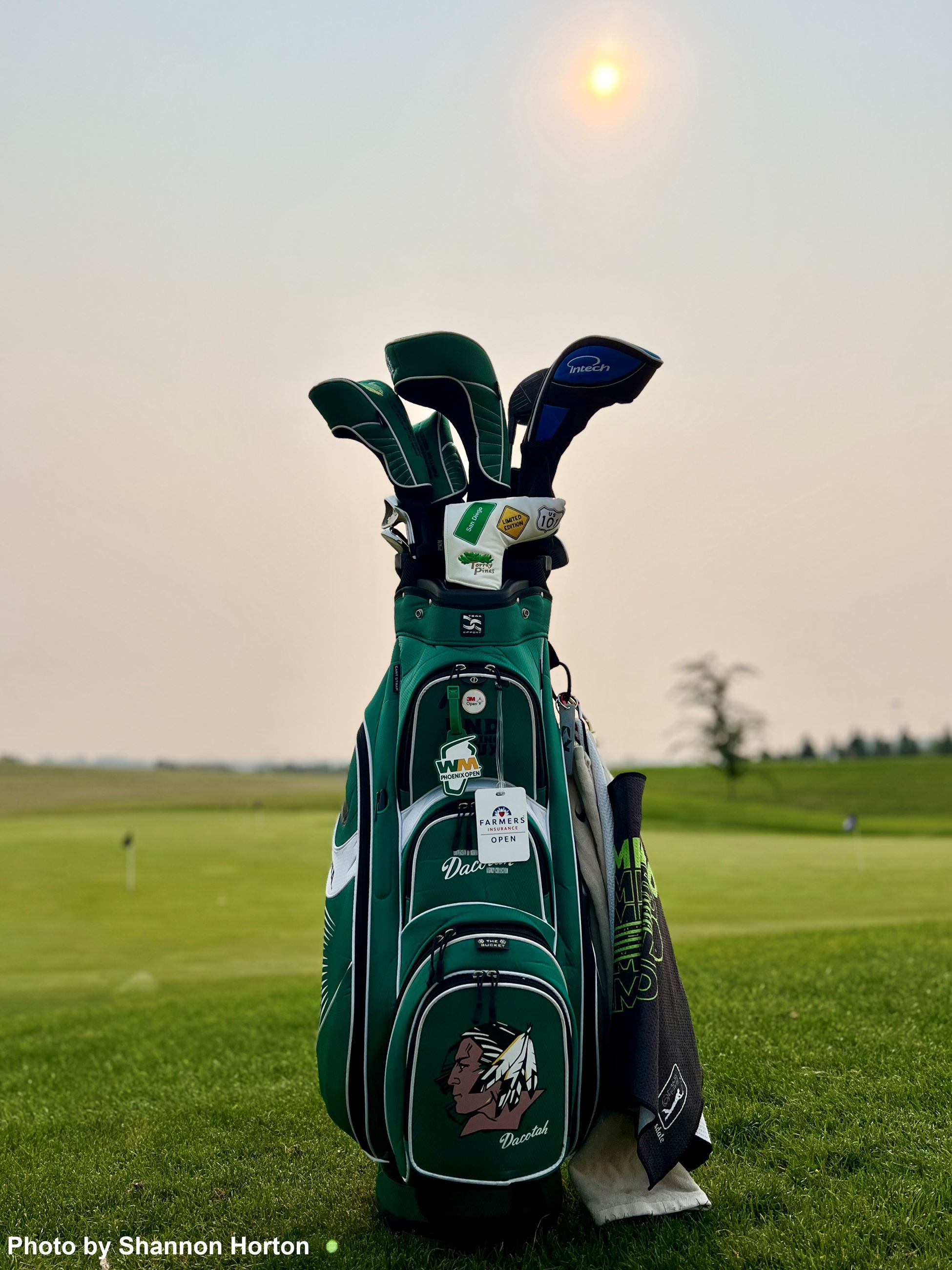 Gold clubs in a golf bag on a golf course. 
