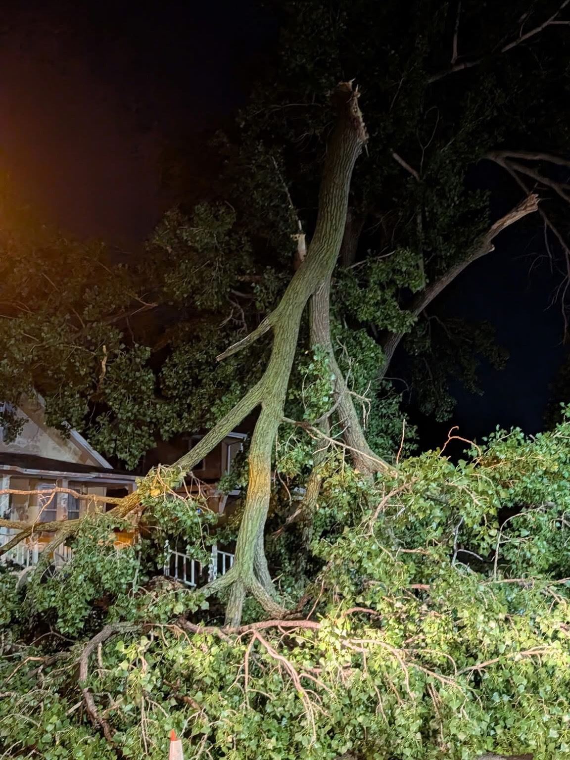 High winds damaged part of a boulevard tree limb in Bismarck. 
