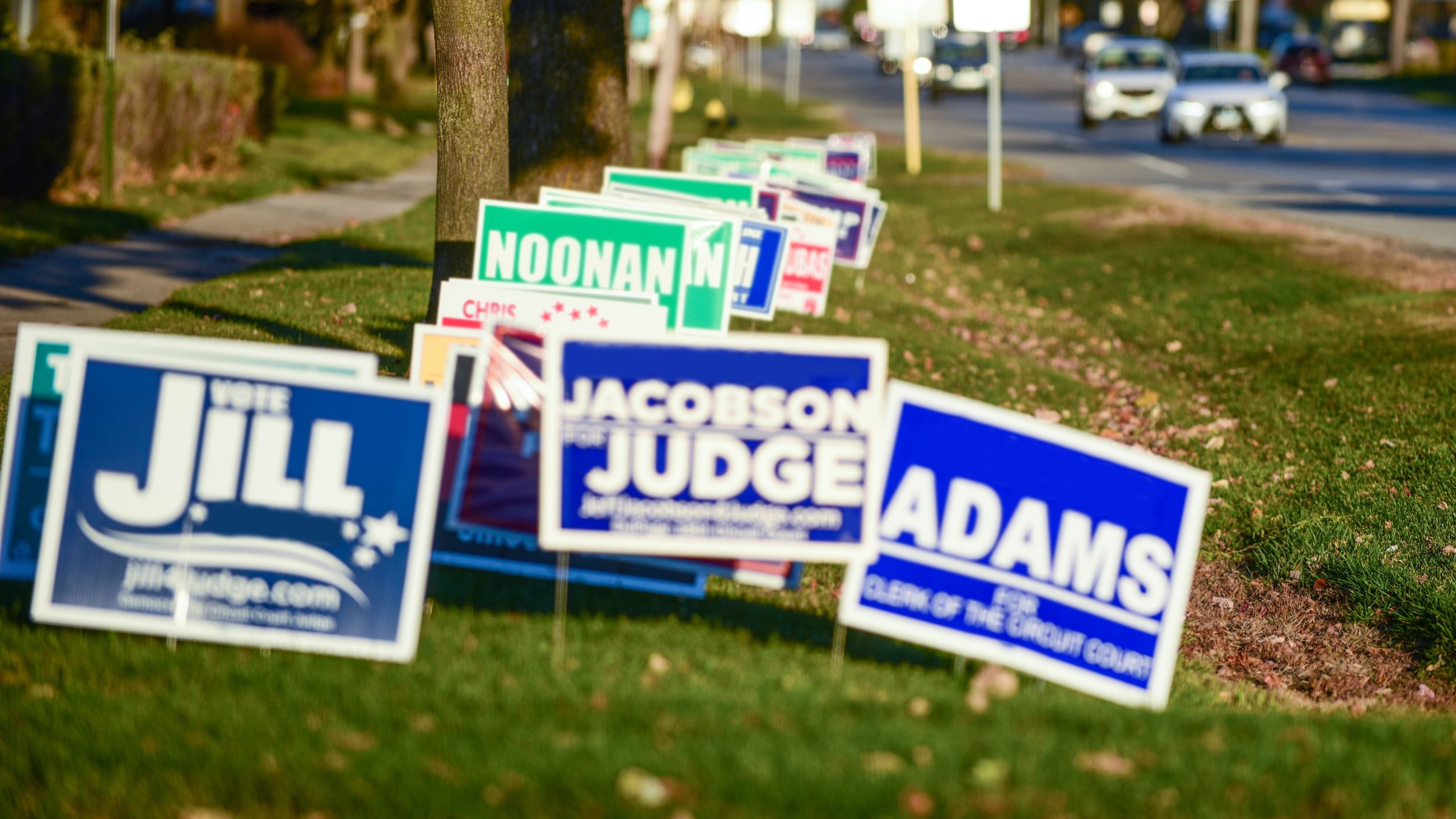 Political Signs